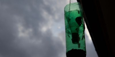 Past na vosy z PET lahve