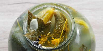 Zavařovací sklenice s okurkami ve slaném nálevu