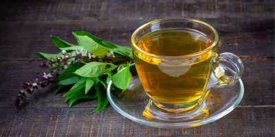 Bazalkový čaj, bazalka