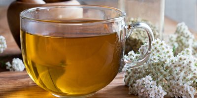 Čaj z řebříčku, řebříček