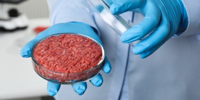 Mleté maso v Petriho misce v laboratoři