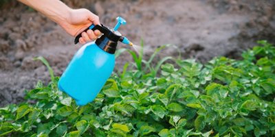 Postřik zeleně pomocí rozprašovače