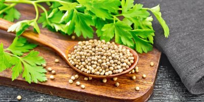 Semena a listy koriandru