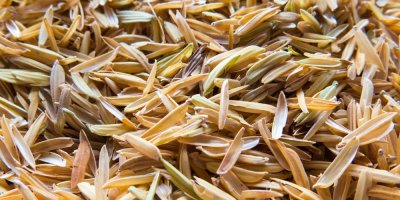 Detail rýžových slupek