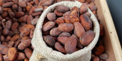 Pytlík kakaových bobů