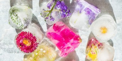 Zamražené květiny v ledu