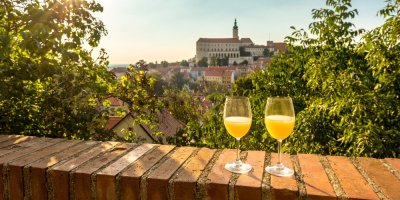 Dvě sklenice burčáku v Mikulově