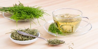 Přesličkový čaj a čerstvě natrhaná přeslička