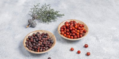 Modrý a červený jalovec v dřevěných miskách