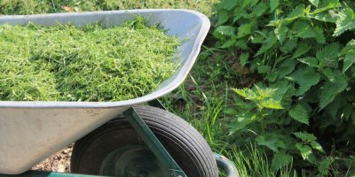 Kopřivy a kolečko s mulčem