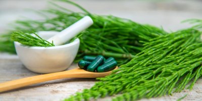 Přeslička v hmoždíři, tobolky z přesličky na dřevěné lžičce