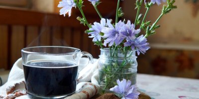 Čekankový nápoj v hrnku, čekanka ve váze