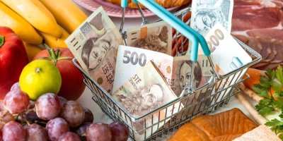 Malý košík s českými bankovkami a kolem potraviny