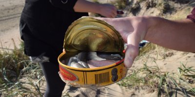 Konzerva švédských fermentovaných sleďů