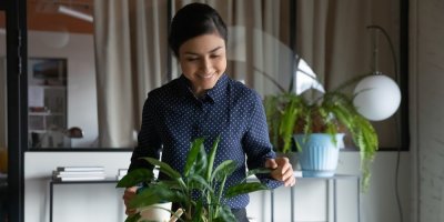 Žena zalévá pokojovou rostlinu v kanceláři