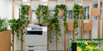 Kopírka a stolní fotbal, v pozadí pokojové rostliny