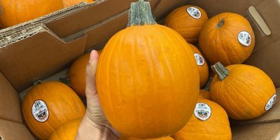 Nabídka dýní v obchodě