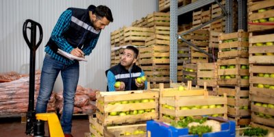 Dva muži pracují ve skladu s jablkami