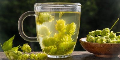 Čaj z chmelových šištic