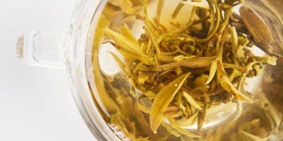 Skleněná konvička s louhujícím se bílým čajem