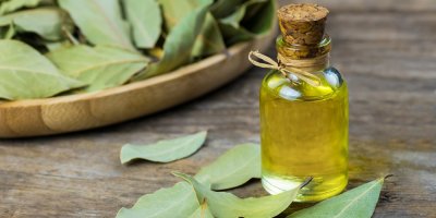 Lahvička s olejem z bobkového listu, postavená na stole. Kolem bokové listy