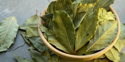 Lístky bobkového listu v misce