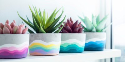 Čtyři květináče na poličce