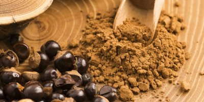 Výroba prášku ze semen guarany 