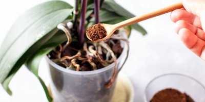 Žena dává lógr do květináče