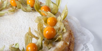 Dort zdobený plody mochyně