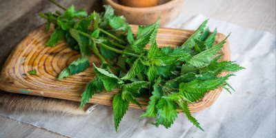 Kopřiva na prkénku