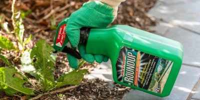 Aplikace herbicidu RoundUp