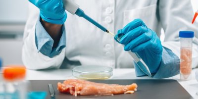 Testování kuřecího masa v laboratoři