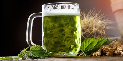 Zelené pivo, okolo jsou bylinky