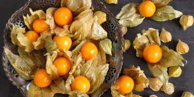 Plody mochyně v misce