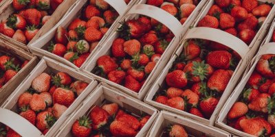 Jahody v papírových přepravkách