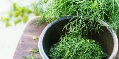 Kopr v misce a v pozadí snítky kopru