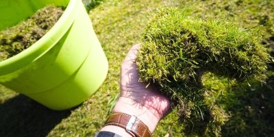 Zahradník ukazuje trs mechu odstraněný z trávníku