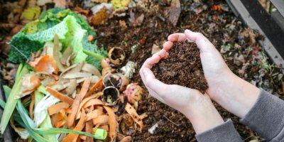 Ruce nabírající kompost