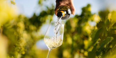 Do sklenice se nalévá bílé víno