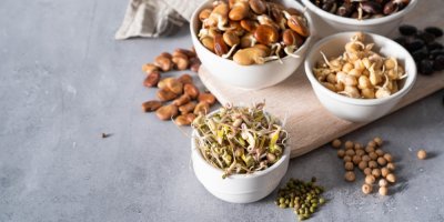 Různé klíčky luštěnin v miskách