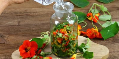 Lichořeřišnice v lahvi, do které se lije průhledná tekutina