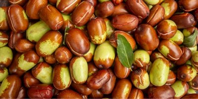 Sklizené jojobové plody