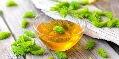 Extrakt z čerstvých výhonků smrku a jedle