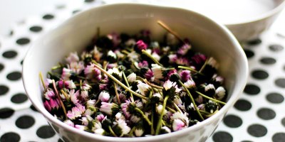 Sedmikrásky v bílé misce