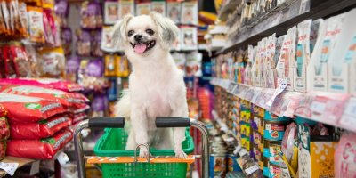 Pes v nákupním košíku ve zverimexu