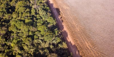 Pole a lesy z leteckého pohledu