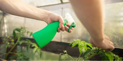 Stříkání rostlin zeleným rozprašovačem