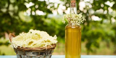 Láhev domácího bezinkového sirupu a košík s natrhaným květem černého bezu