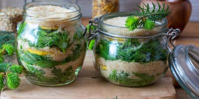 Dvě uzavíratelné sklenice, ve kterých jsou vrstvy čerstvých smrkových výhonků, třtinového cukru a kolečka citronu